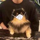 深沉的神仙的个人资料头像