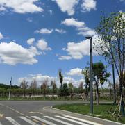 我可是外星人的个人资料头像