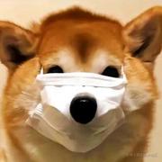 cc2538661536695的个人资料头像