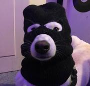 FFF的个人资料头像