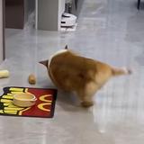 用户1811148182517头像