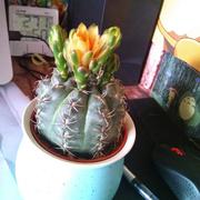 130的个人资料头像