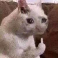 自强不息香瓜uf3头像