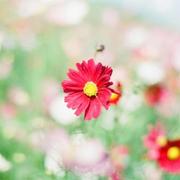 石菲的个人资料头像