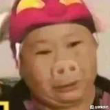 用户3079796877527头像