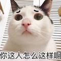 从你的全世界路过4901头像