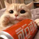 努力酱103207的个人资料头像