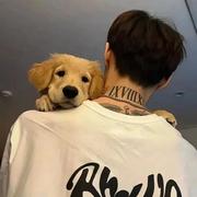 用户9381617009616的个人资料头像