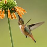 edazh的个人资料头像