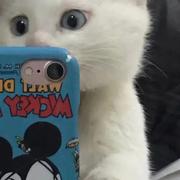 刘文杰鸭的个人资料头像