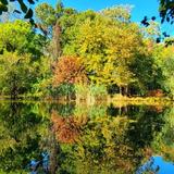 清清杨柳nicole头像