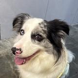 无敌雪糕410头像