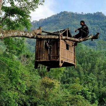 神奇小窝生存录头像