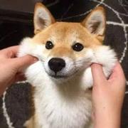 用户2881114485245的个人资料头像