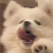 MOOOT的个人资料头像