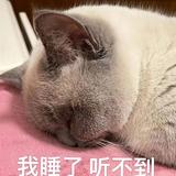 九月8371头像