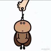 morse的个人资料头像