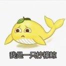 irony的个人资料头像