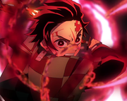 Yang_的个人资料头像