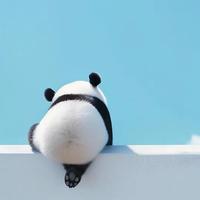 体力少年黄头像