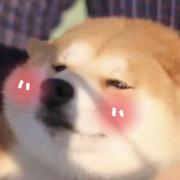 MansFlower的个人资料头像