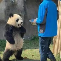 然否388头像