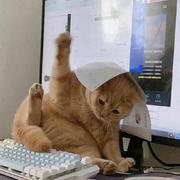 用户25575776443的个人资料头像