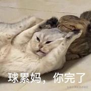 赚大钱的个人资料头像