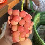 邻水其发葡萄头像