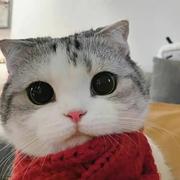 晚風819的个人资料头像