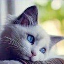 Monsters本尊的个人资料头像