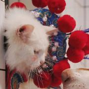 咕叽226的个人资料头像