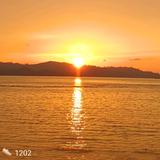 江湖小白头像