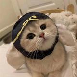长青3609头像