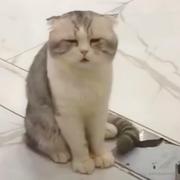 满脑子sese的个人资料头像