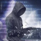 诗意柑桔KvR头像