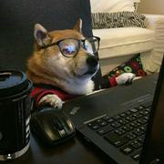 Zq的个人资料头像