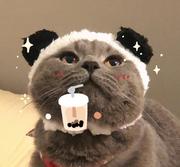 yummyyummy的个人资料头像