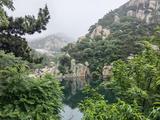 爱旅行的猫咪 go头像