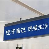 绿色生活的头像