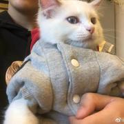 大同学的个人资料头像