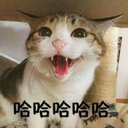 基本操作的个人资料头像