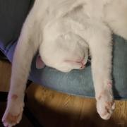 诺亚的个人资料头像