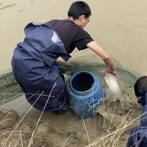 三农狗哥头像