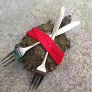 KlausChan的个人资料头像