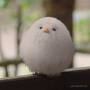 用户2088253742390的个人资料头像