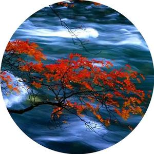 静静漫思头像