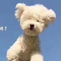 怀怀索头像