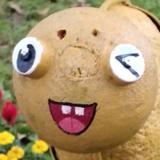 天下的道头像