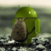 黄锦鹏向前冲的个人资料头像